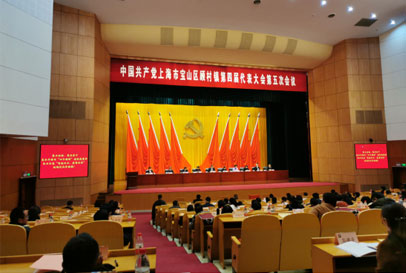 支部参加上海市宝山区顾村镇第四届代表大会第五次会议
